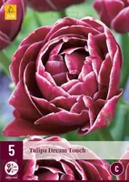 LILLESIBUL JUB TULP DREAM TOUCH 5TK PAKIS