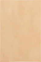 KERAAMILINE SEINAPLAAT ATEM VANDA DARK BEIGE 20X30CM
