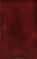 KERAAMILINE SEINAPLAAT ATEM LIANA DARK PINK 22X35CM