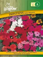 LILLESEEMNED GO GROW SULTAN-LEMMALTS SAFARI SEGU F2