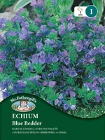 LILLESEEMNED MR FOTHERGILL’S HARILIK USSIKEEL BLUE BEDDER