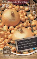 TIPPSIBUL STUTTGARTER RIESEN 500GR/PAKK