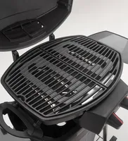 GAASIGRILL LANDMANN PANTERA 4KW 2 PÕLETIGA