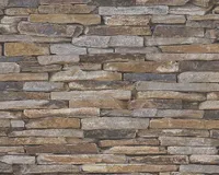 TAPEET A.S. CRÉATION SDS 2014PROFI 3512-03 10,05X0,53M