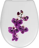 PRILL-LAUD ORCHID VAIKSELT SULGUV