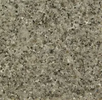 SOKLIPLAAT KIVEX HALL GRANIIT 13X625X1250MM