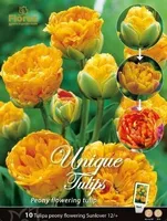 LILLESIBUL TULP SUNLOVER 10TK PAKIS