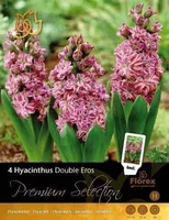 LILLESIBUL HÜATSINT FLOREX DOUBLE EROS 15/16 3TK PAKIS