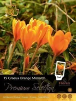 LILLESIBUL KROOKUS FLOREX ORANGE MONARCH 5/7 15TK PAKIS