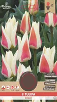LILLESIBUL GREIGI TULP FLOREX DIABLO 8TK PAKIS