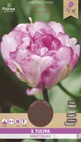 LILLESIBUL TOPELTÕIELINE HILINE TULP FLOREX SHIRLEY DOUBLE 5TK PAKIS