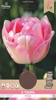 LILLESIBUL TOPELTÕIELINE HILINE TULP FLOREX FINOLA 8TK PAKIS