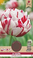 LILLESIBUL TOPELTÕIELINE HILINE TULP FLOREX CARNAVAL DE NICE 8TK PAKIS