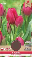 LILLESIBUL MITMEÕIELINE TULP MERRY GO ROUND 8TK PAKIS