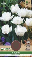 LILLESIBUL TOPELTÕIELINE MADAL TULP FLOREX MOUNT TACOMA 8TK PAKIS