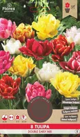 LILLESIBUL TOPELTÕIELINE MADAL TULP FLOREX DOUBLE EARLY SEGU 8TK PAKIS
