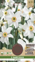 LILLESIBUL NARTSISS FLOREX RECURVUS 5TK PAKIS