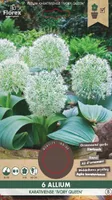 LILLESIBUL MADALAKASVULINE LAUK FLOREX IVORY QUEEN 6TK PAKIS