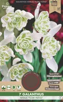 LILLESIBUL LUMIKELLUKE FLOREX FLORE PLENO 7TK PAKIS