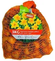 LILLESIBUL NARTSISS FLOREX YELLOW 3 KG