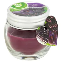 LÕHNAKÜÜNAL KLAASIS AIR WICK PURPLE BLACKBERRY MINI 30G