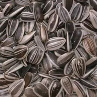 LINNUTOIT TRIIBULISED PÄEVALILLESEEMNED 2KG