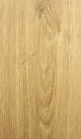 LAMINAATPARKETT TARKETT SELECT DEEP HONEY SHERWOOD TAMM 8MM KL.33 1-LIPP