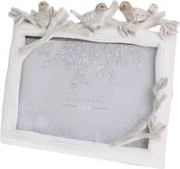 PILDIRAAM LINDUDEGA 17X14,5X2,5CM VALGE