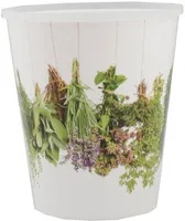 LILLEPOTIÜMBRIS ÜRDID 12CM POTILE