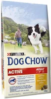 LEMMIKLOOMA KUIVTOIT PURINA DOG CHOW ACTIVE KANA 14KG
