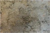 LIIMITAV DEKORATIIVPLAAT ALFER 60X100CM ANTIIKHÕBEDANE