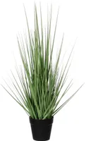 DEKORATIIVKÕRRELINE Ø10CM POTIS H53CM ROHELINE