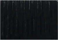 LIIMITAV DEKORATIIVPLAAT ALFER 60X100CM MUST LÄIKIV KUMER