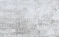 SEINAPLAAT VITRA COZY WHITE MATT 25X40CM 1M2 PAKIS