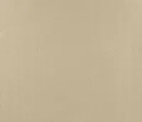 TAPEET SCHUIMVINYL 6606.1 0,53X10,05M KREEM SAKID