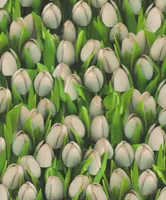 NIISKUSKINDEL SEINAKATE SINTRA DECORATION VALGE TULP 0,53X10,5M