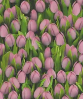NIISKUSKINDEL SEINAKATE SINTRA DECORATION ROOSA TULP 0,53X10,5M