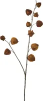 KUNSTTAIM MICA DECORATIONS HIINA LATERN 94CM PRUUN