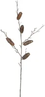 KUNSTTAIM HOUSE OF SEASONS OKSAD KÄBIDEGA 91CM PRUUN