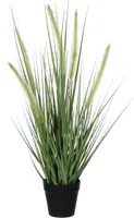DEKORATIIVKÕRRELINE SUGAPEA Ø10CM POTIS H53CM ROHELINE