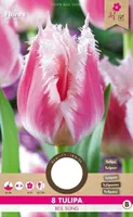 LILLESIBUL NARMASSERVALINE TULP FLOREX BELL SONG 8TK PAKIS