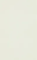SEINAPLAAT MARTYNIKA MINT 25X40 1,3M2/PK