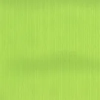 TAPEET DUTCH WALLCOVERINGS SCHUIMVINYL UNI GROEN/LIMOEN 6816-3
