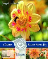 KOLLERETT DAALIA KAPITEYN "KELSEY ANNIE JOY" 2TK PAKIS