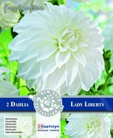DEKORATIIVDAALIA KAPITEYN "LADY LIBERTY" 2TK PAKIS