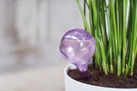 MULLA NIISUTAJA ELHO AQUA CARE LÄBIPAISTEV 2TK