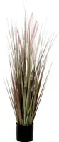 KUNSTTAIM ESSENTIAL DOGTAIL POTIS Ø12,5X90CM LILLA