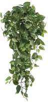 KUNSTTAIM ESSENTIAL SCINDAPSUS RIPPUV 80X30X15CM ROHELINE