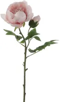 KUNSTLILL SEASSPRING POJENG 62CM ROOSA