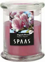 LÕHNAKÜÜNAL SPAAS KLAASPURGIS 60H MAGNOOLIA